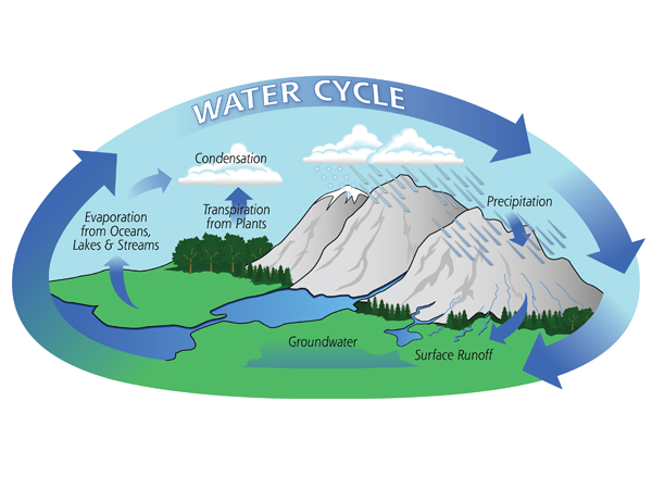 Illustration of the water cycle (precipitation > Runoff > Groundwater > Evaporation > Condensation)