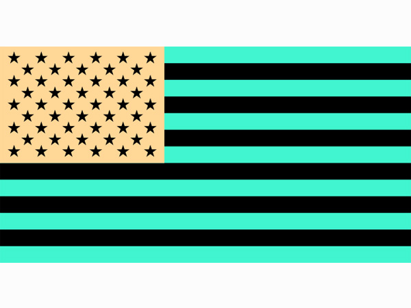 Image of American flag with inverted colours