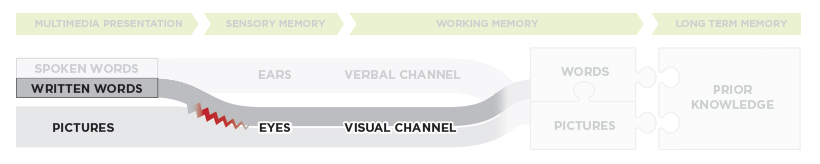 Dual-channel, limited-capacity, active-processing theory of multimedia learning, emphasizing that written words compete with pictures in the visual channel, risking cognitive overload.