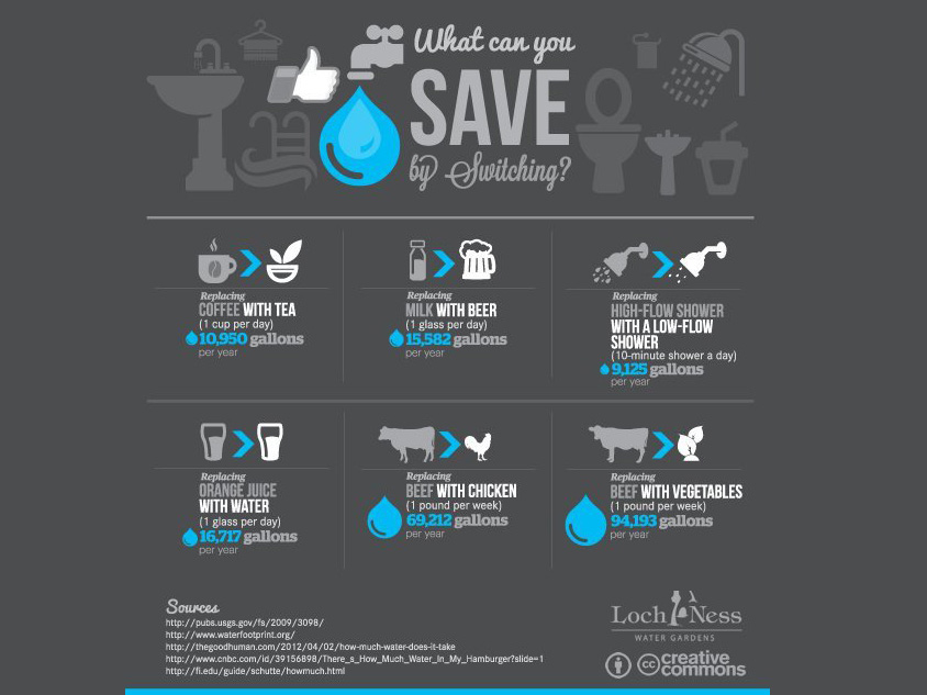 save-water-by-switching