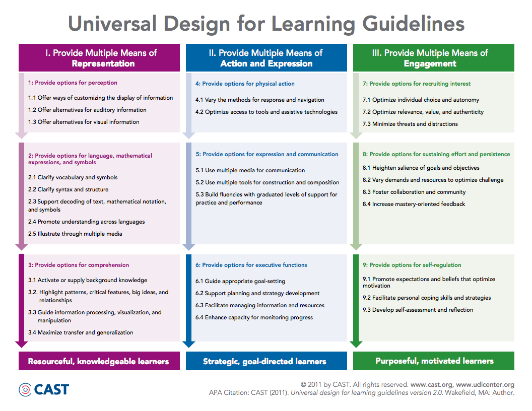Universal design for learning guidelines